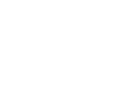 Brixner Stadl neu